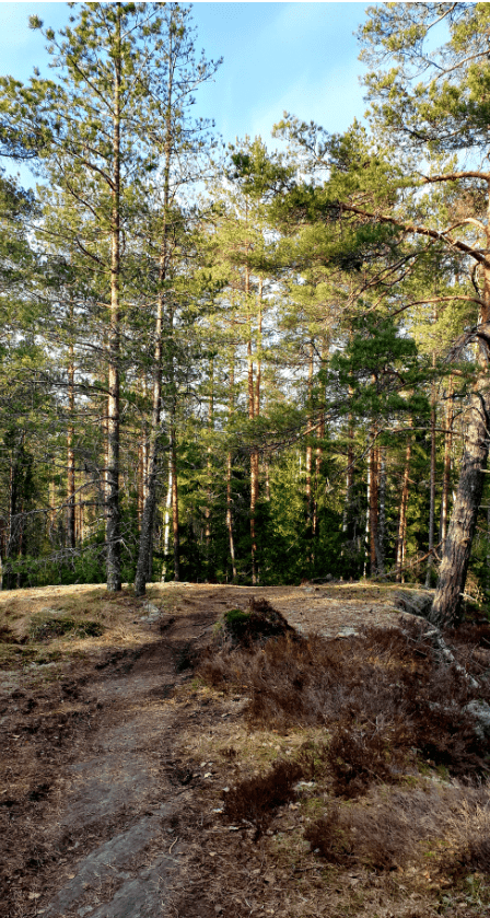Työsuhdepyöräily kokemuksia ja palvelut